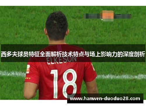 西多夫球员特征全面解析技术特点与场上影响力的深度剖析