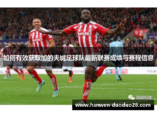 如何有效获取加的夫城足球队最新联赛成绩与赛程信息