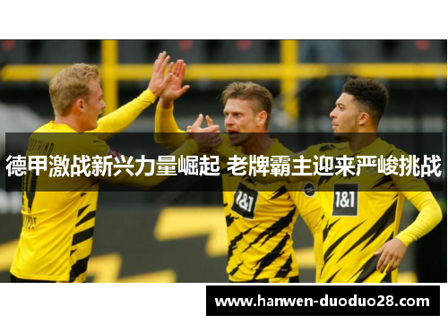 德甲激战新兴力量崛起 老牌霸主迎来严峻挑战 德甲激战新兴力量崛起 老牌霸主迎来严峻挑战