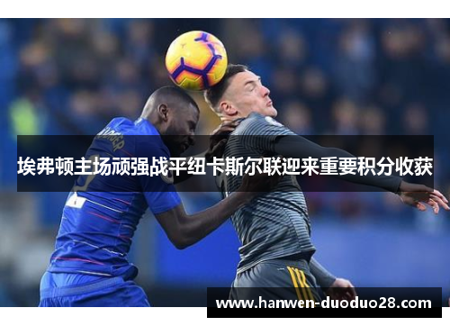 埃弗顿主场顽强战平纽卡斯尔联迎来重要积分收获