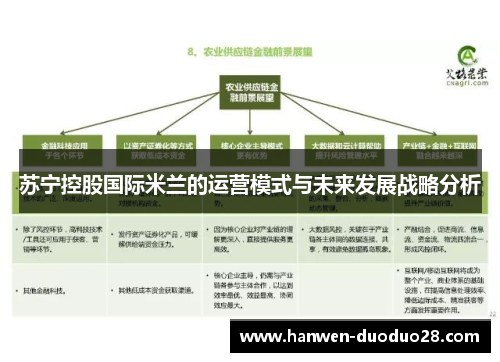 苏宁控股国际米兰的运营模式与未来发展战略分析 苏宁控股国际米兰的运营模式与未来发展战略分析