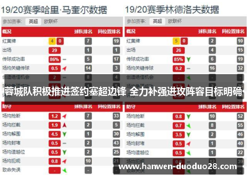 蓉城队积极推进签约塞超边锋 全力补强进攻阵容目标明确 蓉城队积极推进签约塞超边锋 全力补强进攻阵容目标明确